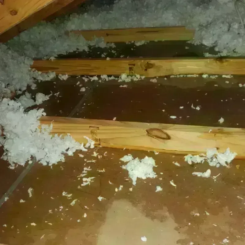 Attic Water Damage in Oneida County, WI